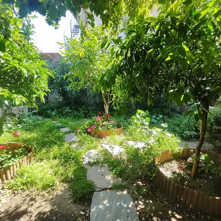 το μικρό σπίτι στον κήπο Lägenhet *